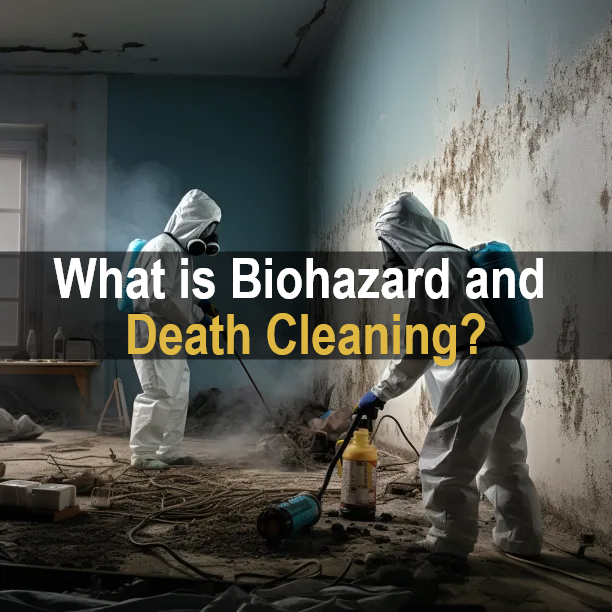 What is Biohazard and Death Cleaning?
