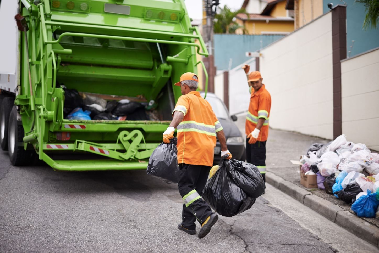 SCU Services ht Animal Waste Cleanup  